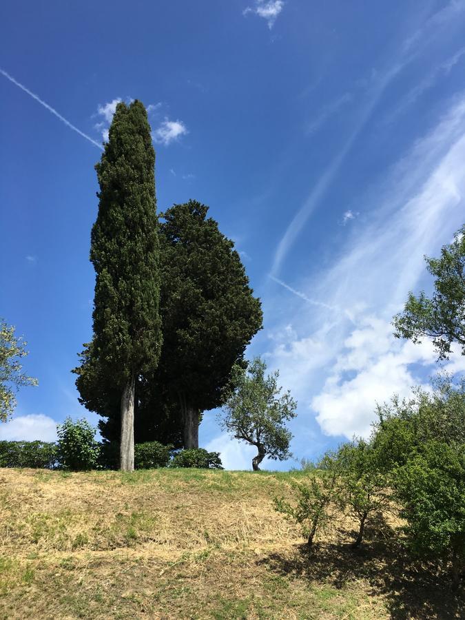 Le Sorgenti 3*